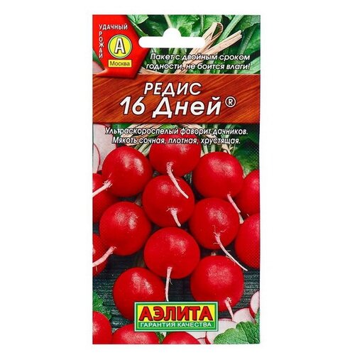 ������ ������ ������ ��������� ������ ����� 16 ���� ����