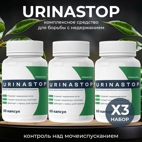 ������ ������ �������� �� ���������� � ������� ����