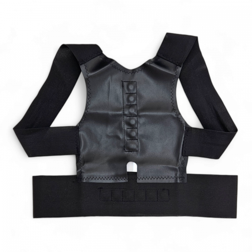 ������ ������ ��������� ������ ��������� ZENET ZET-601, ������ M, ����� 77-110 �� ����