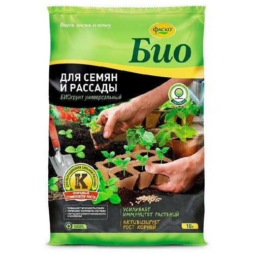 ������ ������ ����� ��� ��� ����� � ������� 10� ����