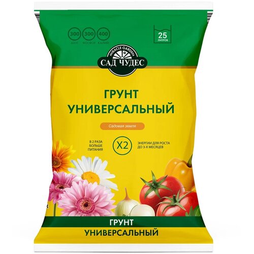 ������ ������ ����� ������������� ��� �����, 25 � ����