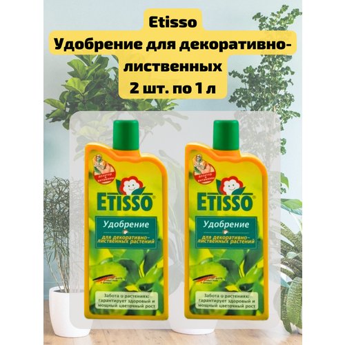 ������ ������ �������� 2 ��. ��������� ������ ��� �����������-���������� �������� 1 �. Etisso ����