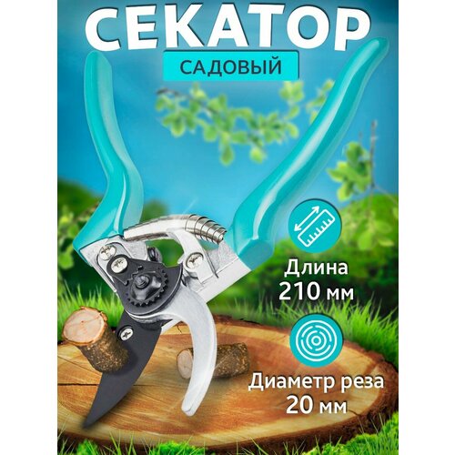 ������ ������ �������� ��� ������� ����