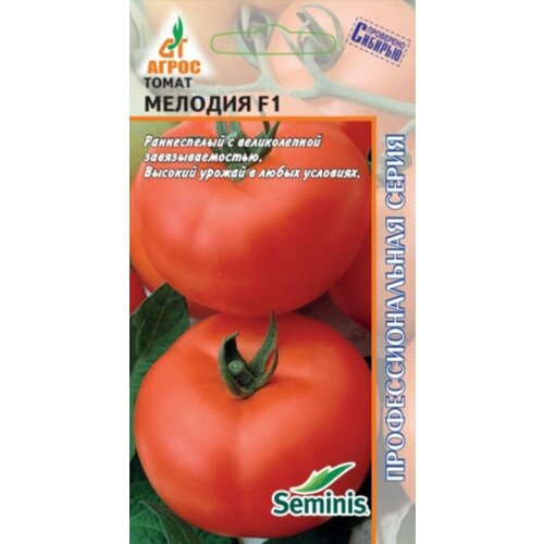 ������ ������ ������ ����� ������� F1 5�� ����� ������ (�����) ����