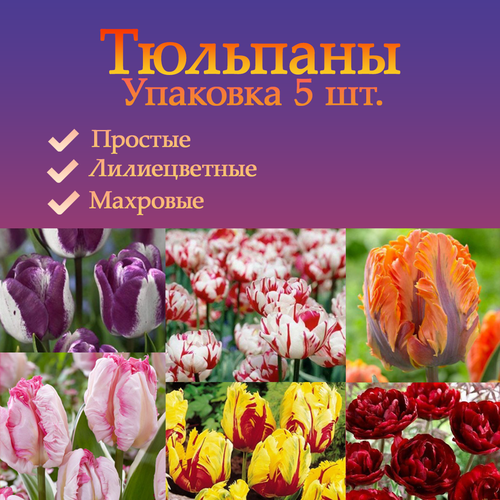 ������ ������ �������� ��������� �����������, �� ������, ���������, �������� ����