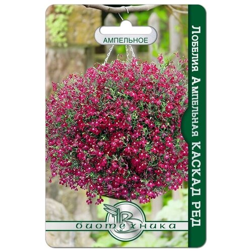 ������ ������ ������ ������� ��������� 