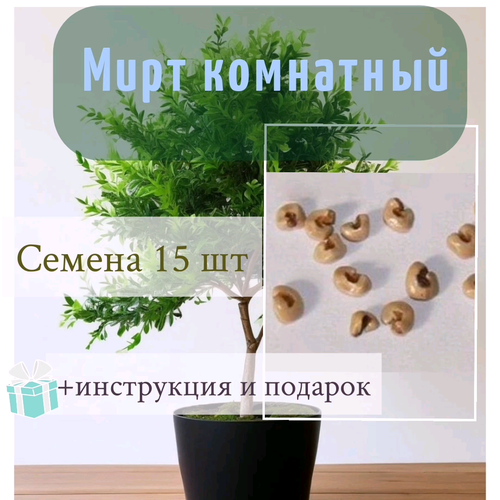 ������ ������ ���� ���������, ������ 15 ��, � ��������� �����������, ���� 2023 �. ����