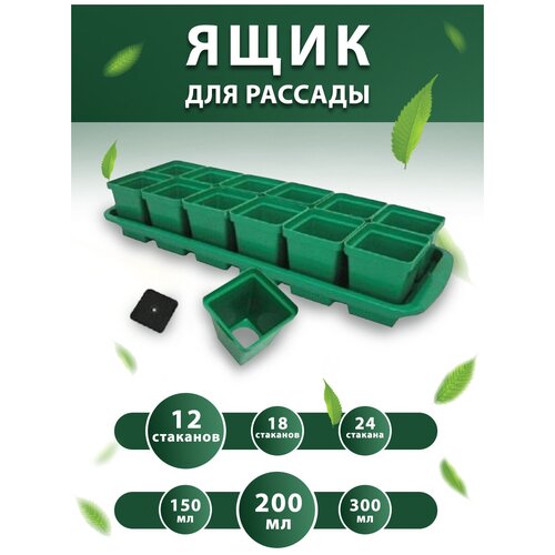 ������ ������ ����� ������� ��� ������� � �������� 0,2 � 12 �� ����