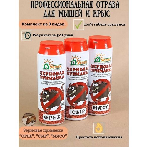 ������ ������ ������ ������ ��� ����� � ����, 3 �� ����