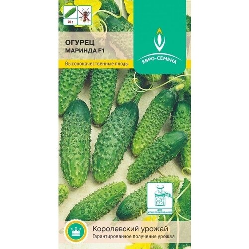 ������ ������ ������ ������� F1. ������. ����������� ���� ��� ��������� ������ � ��������� ������. ���������������� ��������� 9-10 ��. ������, ��� ������ ����