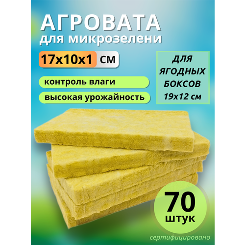 ������ ������ �������� ��� ����������� �����������, 17x10�1 ��, 70 ���� ����