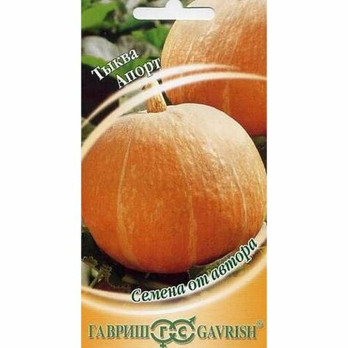 ������ ������ ������ ����� �����, ������������, (������) 1� ����