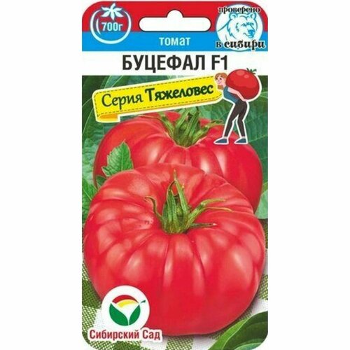 ������ ������ ������ ����� ������� F1 (��������� ���) 15�� ����