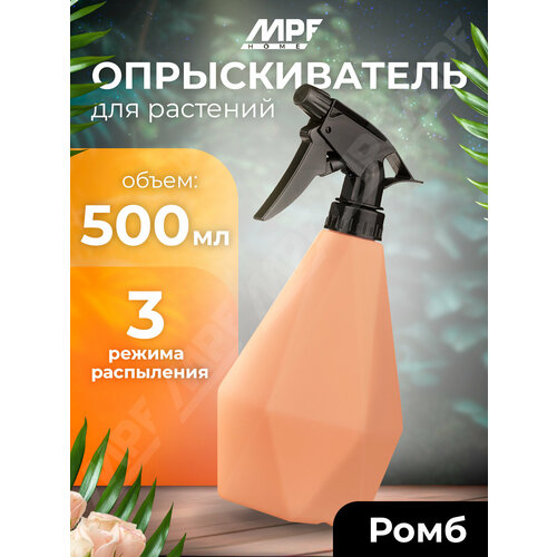 ������ ������ ������������� ����, 500 ��, ���������� ����