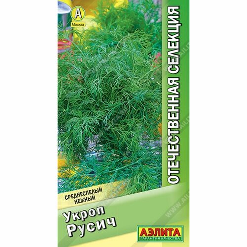 ������ ������ ������ ����� ����� (������) 2� ������������� �������� ����