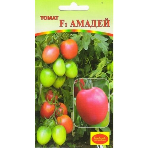 ������ ������ ������ ����� ������ F1 10�� ����� ������ (�����) ����