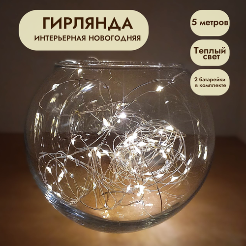 ������ ������ �������� - ���� �� ���������� 5� ������ ���� ����