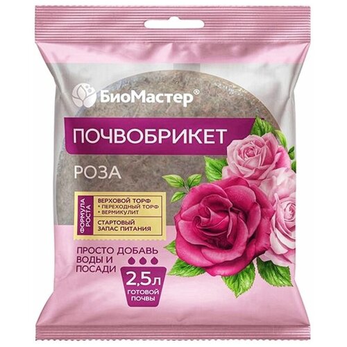 ������ ������ ����� 