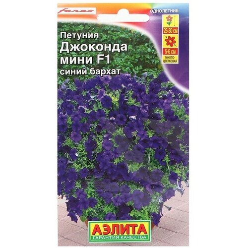 ������ ������ ������ ������� �������� ���� F1 ����� ������, 7 �� ����