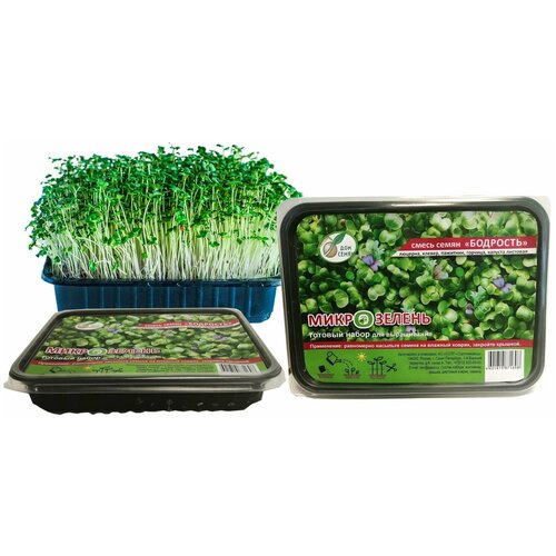 ������ ������ ����� ����� ��� ����������� ����������� ��������, ����� ��������� ����, �� �����������, �� ������� - ����������� �������� ��� �����, 1 �� ����