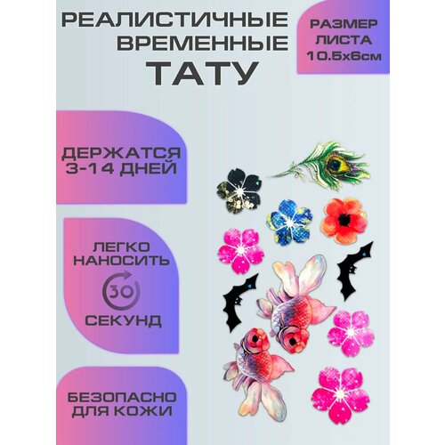 ������ ������ ���� ����������, ��������� ���������� ����, ����� ����