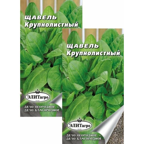 ������ ������ ������ ������������� (0,5 �), 2 ������ ����