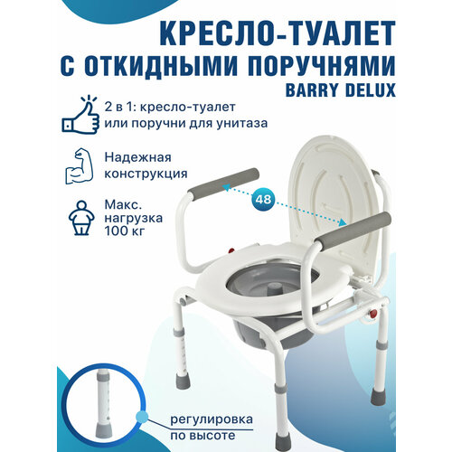 ������ ������ ������-������ � ��������� 2 � 1: ������-������ � ������� ��� ������� WC DeLux ����