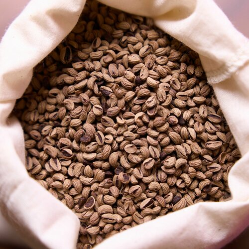 ������ ������ ������ �������� �������� ������, 2 ������ (�������� 60 ��) ����