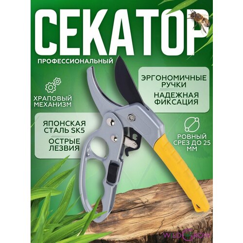 ������ ������ W-GROW ���������������� ������� ������� � �������� ���������� ����