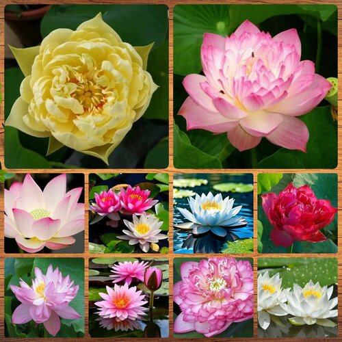 ������ ������ ������ ������ ������ ���� ������ 10 ��. ����