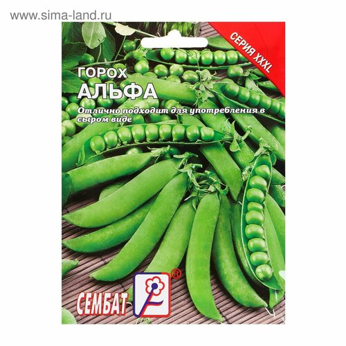 ������ ������ ������ ���L ����� 