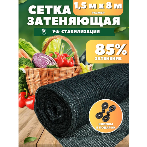 ������ ������ ����� ���������� �������, ��������� 85%, ������ 1,5�8� ����