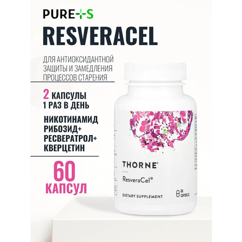 ������ ������ ��� Thorne Research ResveraCel, ��� �������, ����������, ������ � �������, 60 ������ ����