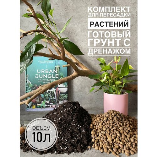 ������ ������ �������� ��� ��������� 10�. ������� ����� ��� �������� � ������ Terracotta Plants ����