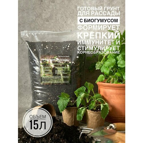 ������ ������ ����� ��� ������� 15 ������ � ���������� ������������� Terracotta Plants �������� ������ ����