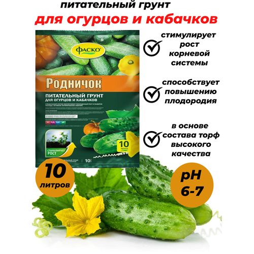 ������ ������ ����� ����� ��������, ��� �������, 10 � ����