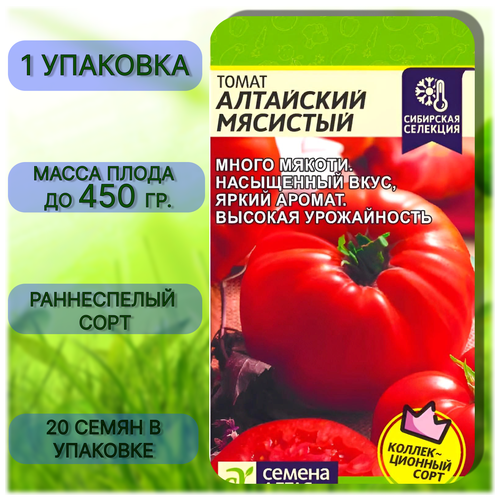 ������ ������ ������ ����� 