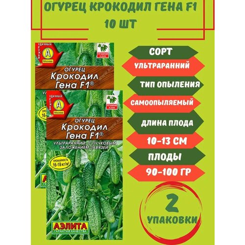 ������ ������ ������ �������� ����,10 ����� 2 �������� ����