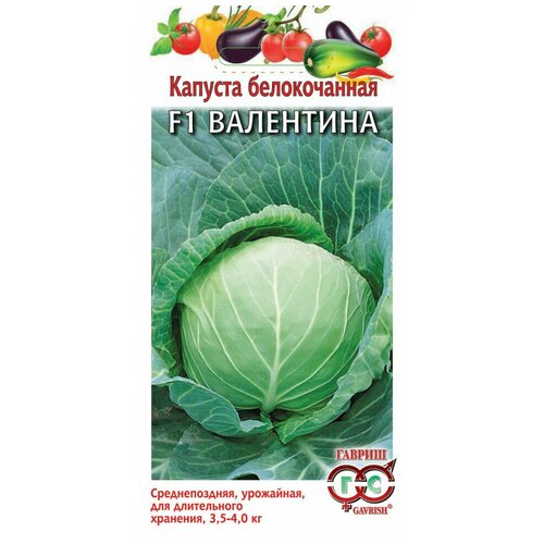 ������ ������ ������ ������ ������� ������������ ��������� F1 0.1 � ����