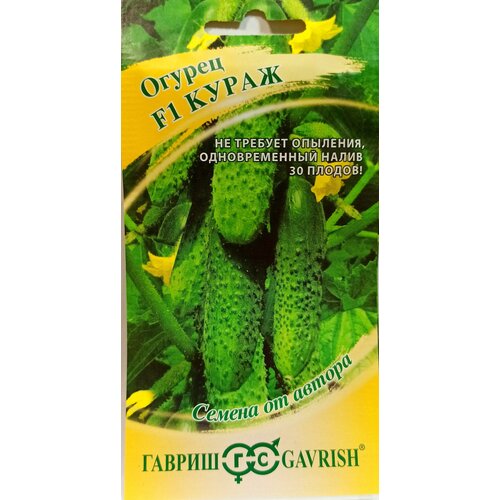 ������ ������ ������ ������� ����� ����