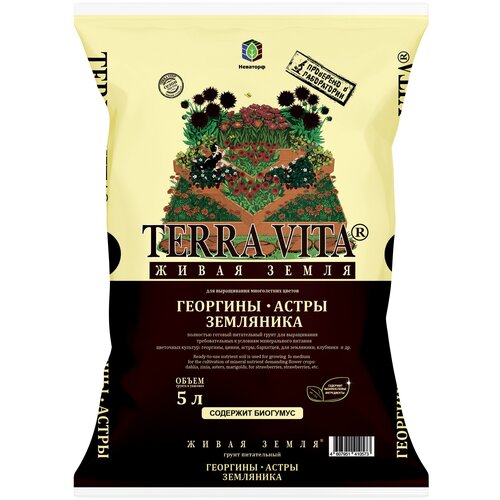 ������ ������ ����� ����� ����� �������-�����-��������� 5 � ����