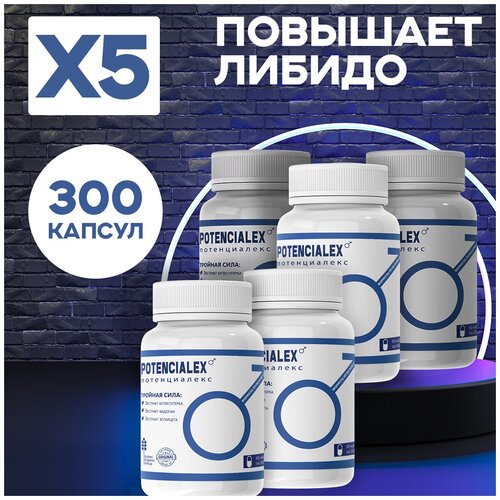 ������ ������ ������� ����������� ������ �������� ����