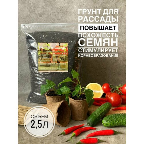 ������ ������ ����� ��� ������� 2,5 ������ � ���������� ������������� Terracotta Plants ����