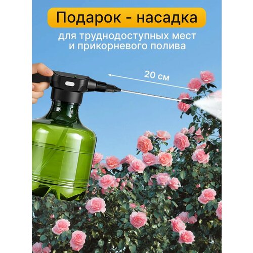 ������ ������ ������������� �������������� ������� 3 � � �������� ��� �������� ����