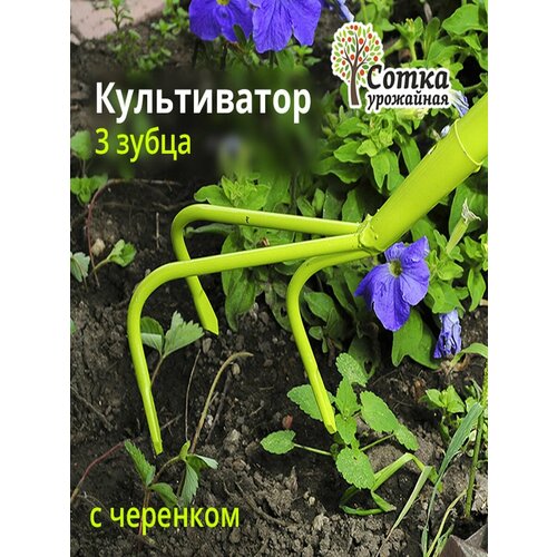 ������ ������ �����������-��������� 3-� ����� '��������� �����', � ������������� �������� ����