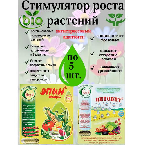 ������ ������ ��������� ��� �������� � ������ ������� � ���� ���� � ������(��������� ����� ��������) �� 5 �� ����