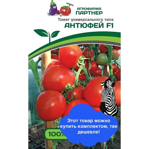 ������ ������ ������ ������ ��������� ������� 