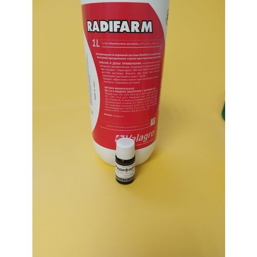 ������ ������ ���������� �������� �������� ������� �������� 10 �� ����