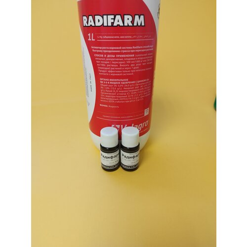 ������ ������ ���������� �������� �������� ������� �������� 2 �� �� 10 �� ����