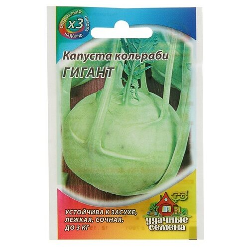 ������ ������ ������ ������� �������� 